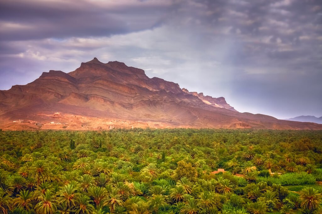 Draa Valley Morocco