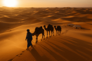 Sahara desert tours